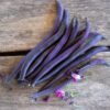 Purple Queen Improved Garden Bean Seeds