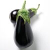 Black Stallion Hybrid Eggplant Seeds